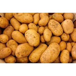Pommes de terre