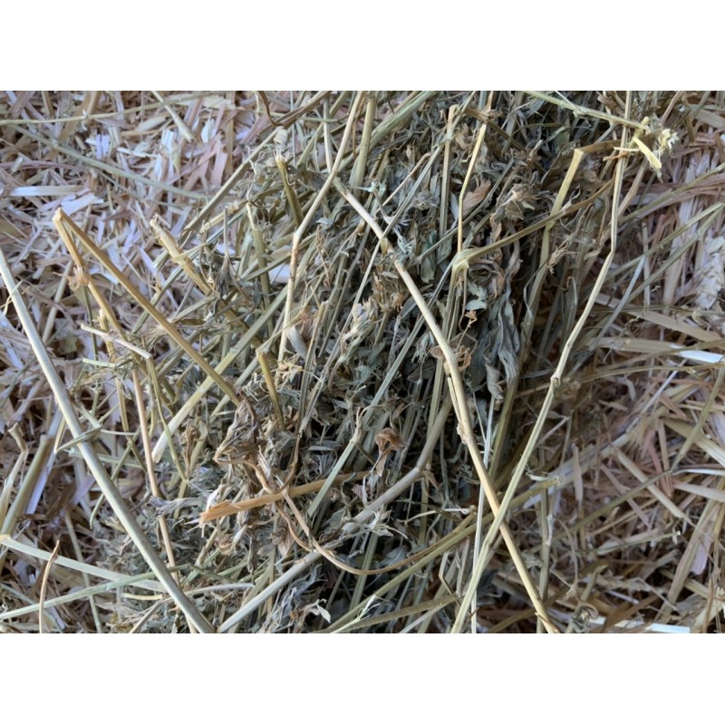 Luzerne en sacs alimentation chevaux lapin 